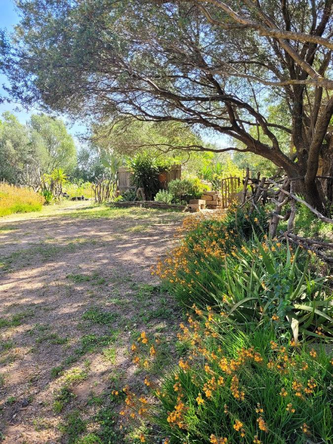 Stazzu La Capretta Farm Camping & Guest Rooms Olbia Exterior foto
