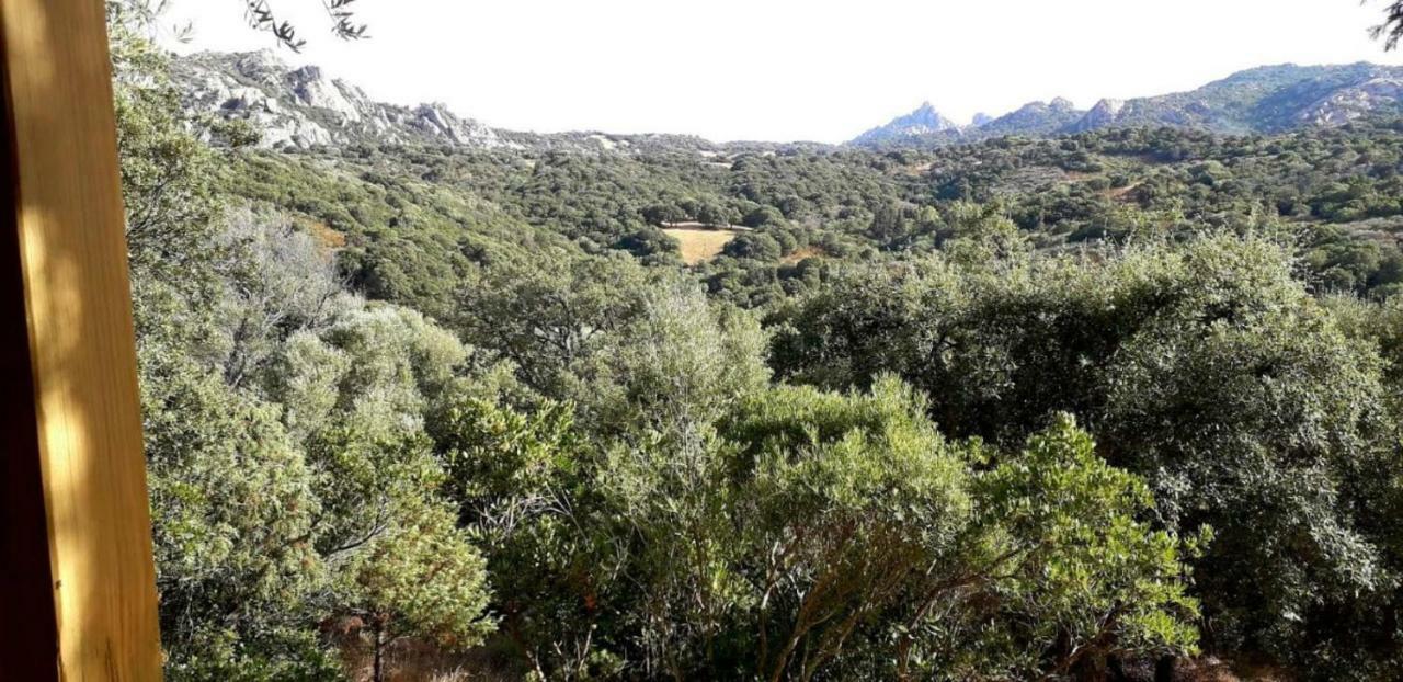 Stazzu La Capretta Farm Camping & Guest Rooms Olbia Exterior foto